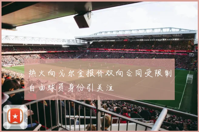 热火向戈尔金报价双向合同受限制自由球员身份引关注